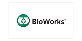 Logo de BioWorks Europe, distribuidor exclusivo de Asperello® Biocontrol