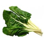 Enfermedades controladas por T34 Biocontrol para acelga. Fusarium spp. Pythium spp.