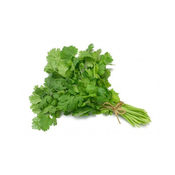 Enfermedades controladas por biofungicida T34 Biocontrol para cilantro. Fusarium spp. Pythium spp.