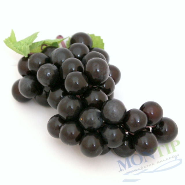 Enfermedades controladas por biofungicida T34 Biocontrol para frutos del bosque. Fusarium spp. Pythium spp.