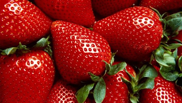 Enfermedades controladas por T34 Biocontrol para fresa Fusarium spp., Pythium spp.