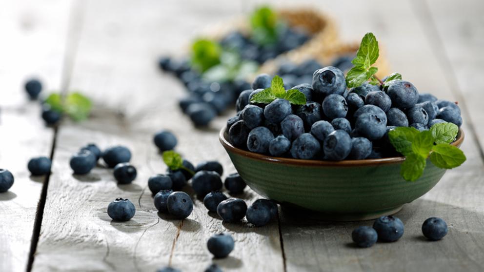 Enfermedades controladas por T34 Biocontrol para arbustos / frutas pequeñas. Fusarium spp. Pythium spp.