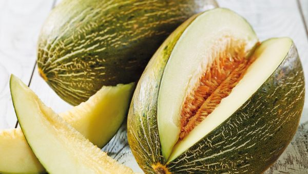 Enfermedades controladas por T34 Biocontrol para melones. Pythium spp. Sclerotinia spp. Rhizoctonia spp. Botrytis spp. Pythium spp. Phytophthora spp.