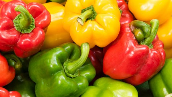 Enfermedades controladas por T34 Biocontrol para pimientos Pythium spp. Phytophtora spp.