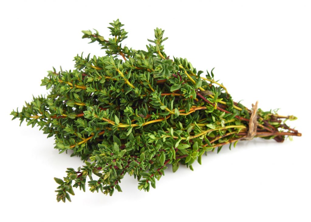 Enfermedades controladas por T34 Biocontrol para tomillo. Fusarium spp. Pythium spp.