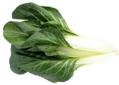 Enfermedades controladas por T34 Biocontrol para acelgas. Fusarium spp. Sclerotinia spp. Rhizoctonia spp. Phytophtora spp. Pythium spp.