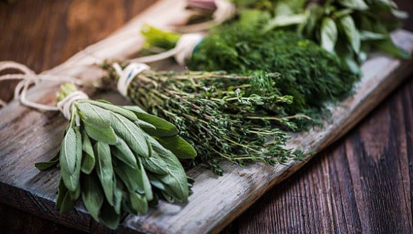 T34 Biocontrol para hierbas aromáticas. Control enfermedades Fusarium spp. y Pythium spp.