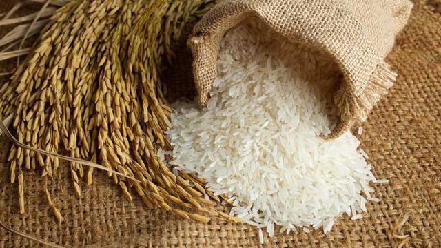 Enfermedades controladas por T34 Biocontrol para arroz. Fusarium spp. Sclerotinia spp. Rhizoctonia spp. Phytophtora spp. Pythium spp.