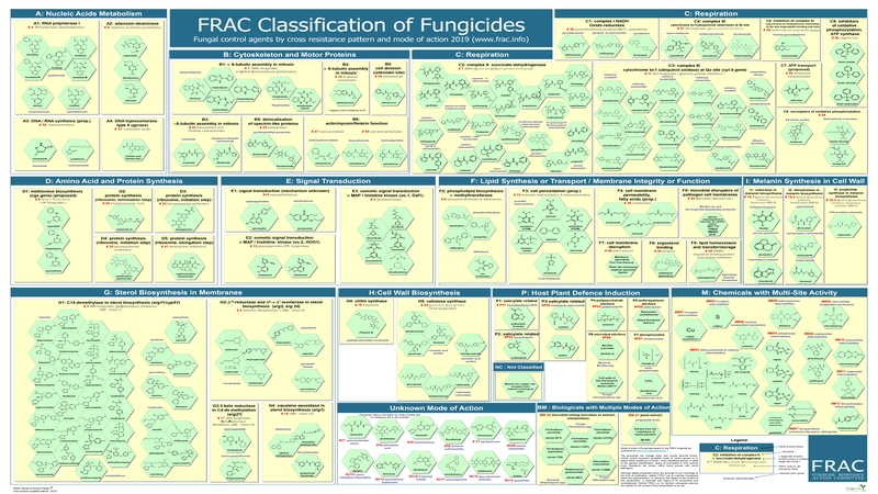 Clasificación de fungicidas FRAC 2019