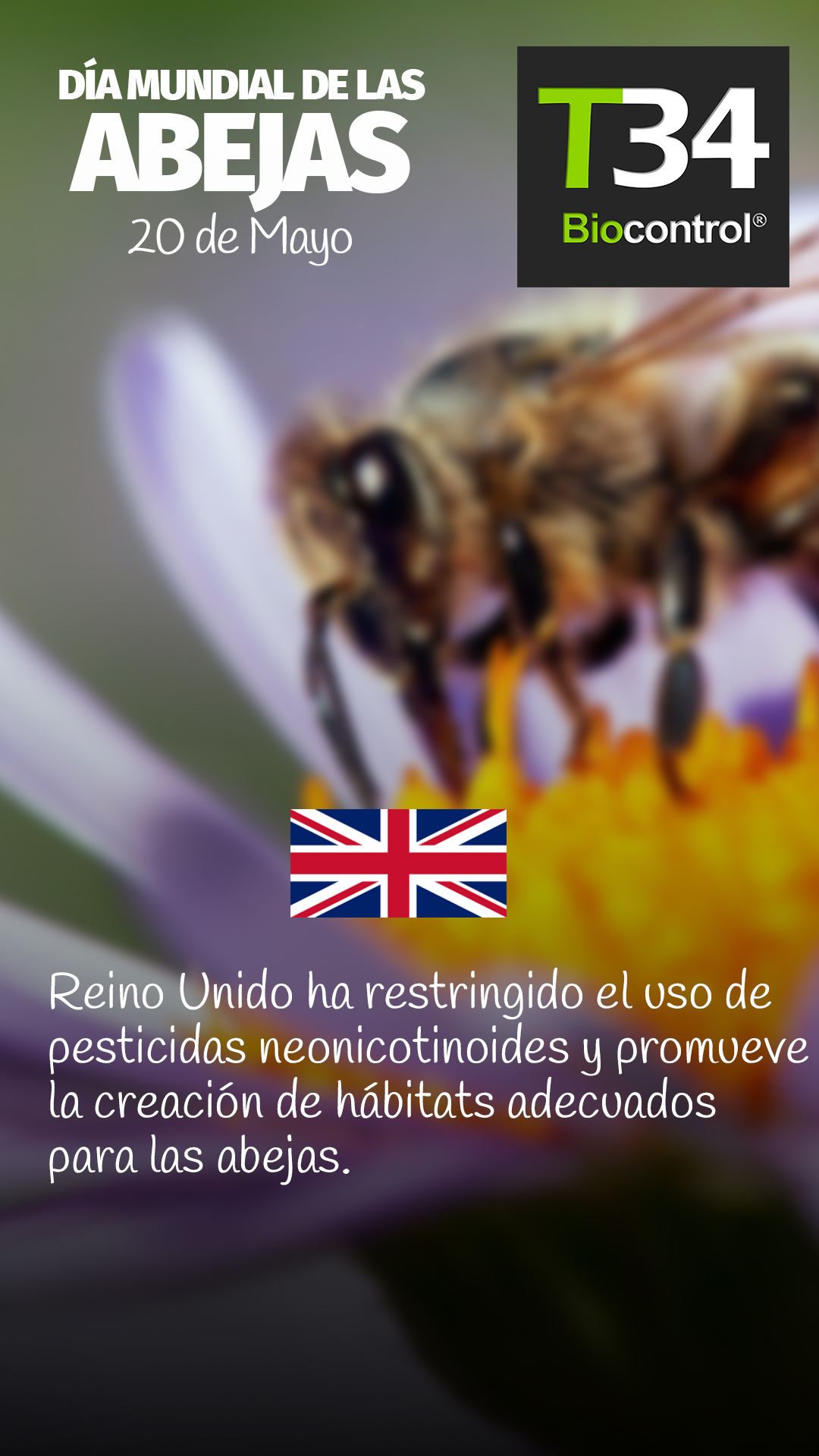 DIAMUNDIAL_ABEJAS_004