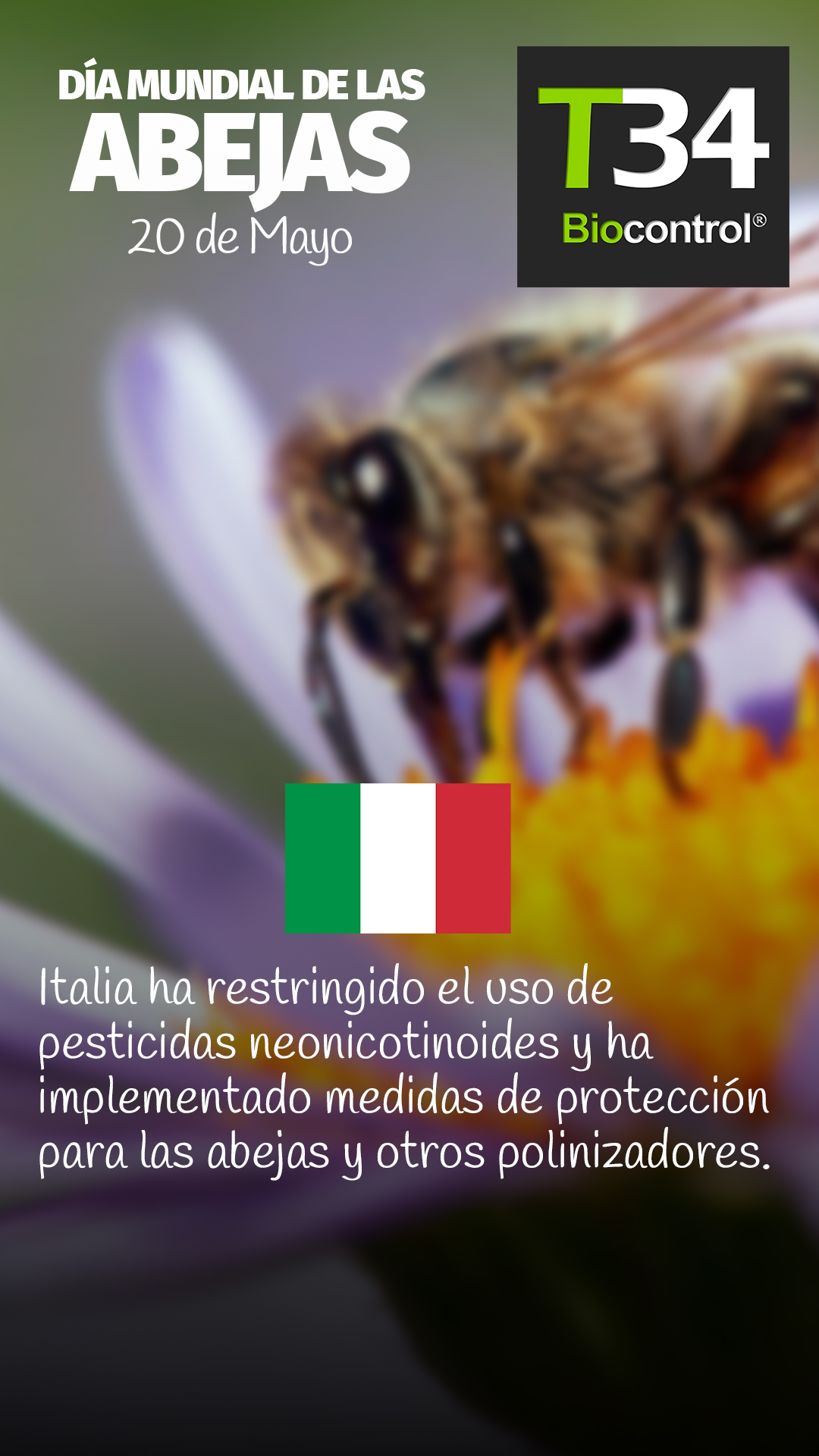 DIAMUNDIAL_ABEJAS_009
