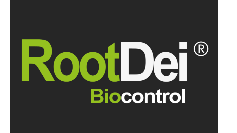 Logo RootDei