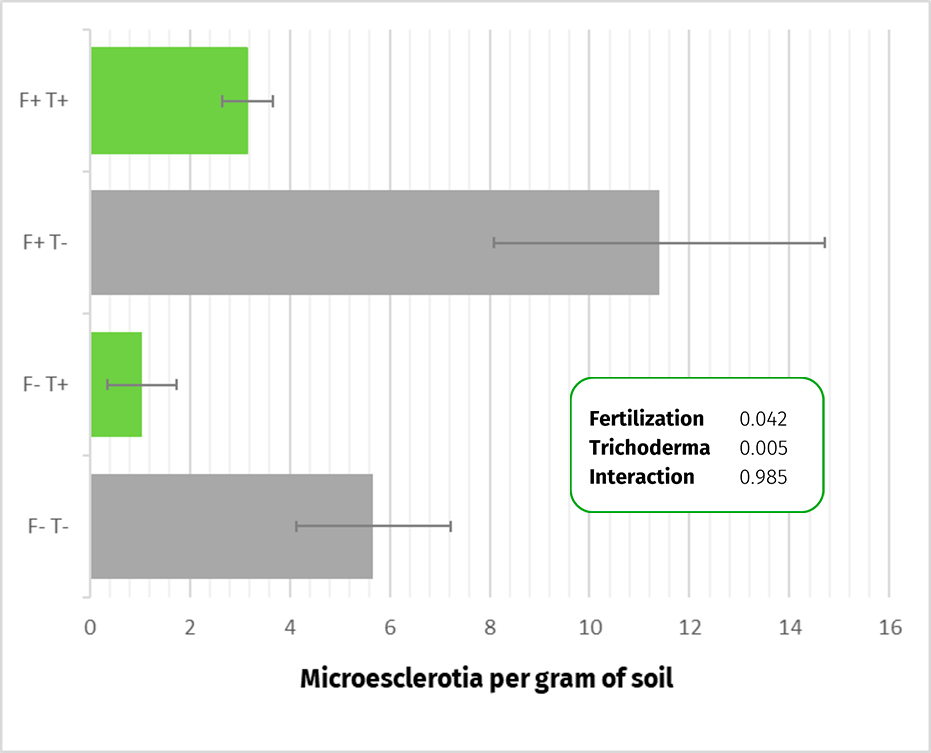 Gráfico de barras que muestra el efecto de la fertilización y de Trichoderma asperellum T34 sobre la concentración de microsclerocios de Verticillium dahliae en el suelo, comparando tratamientos fertilizados y no fertilizados con y sin T34.