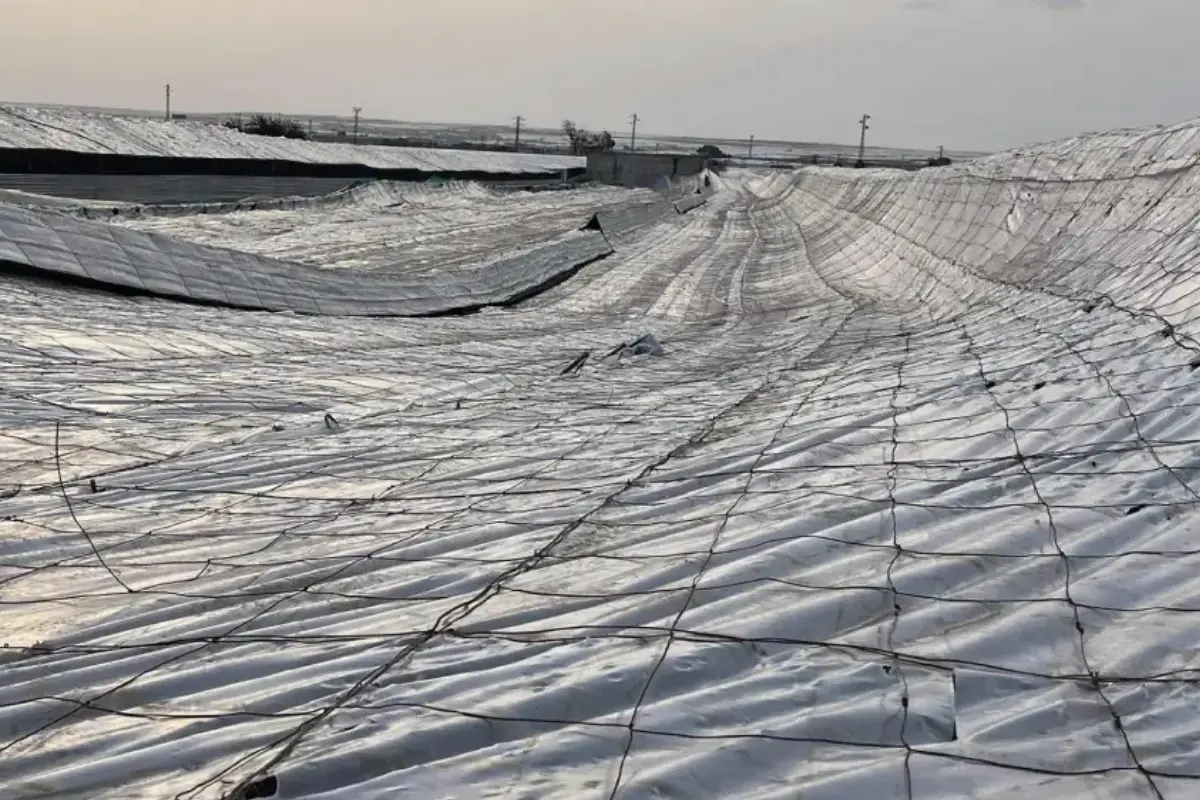 Encharcamiento en un cultivo de Almería tras un episodio de lluvias intensas