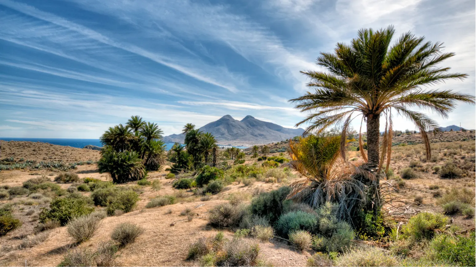 Paisaje mediterráneo semiárido de Almería