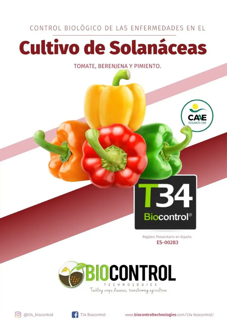 Portada del dosier técnico de solanáceas de T34 Biocontrol®
