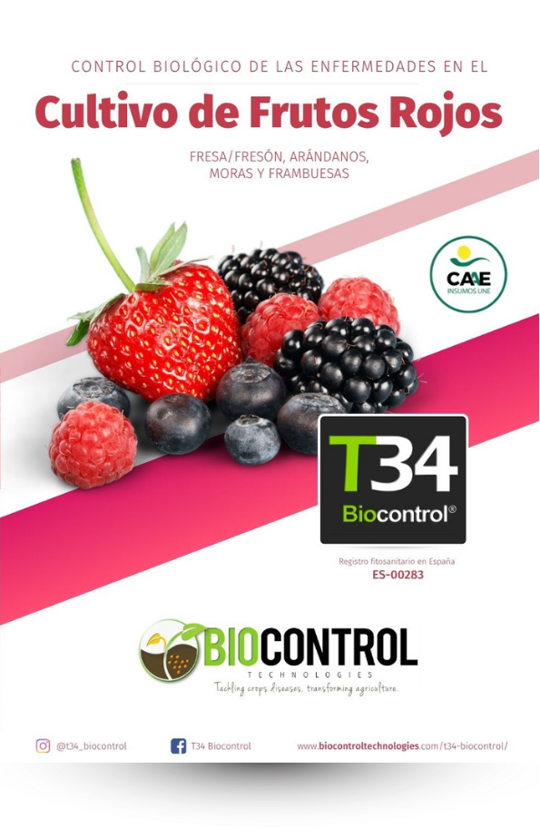 Dosier técnico de frutos rojos