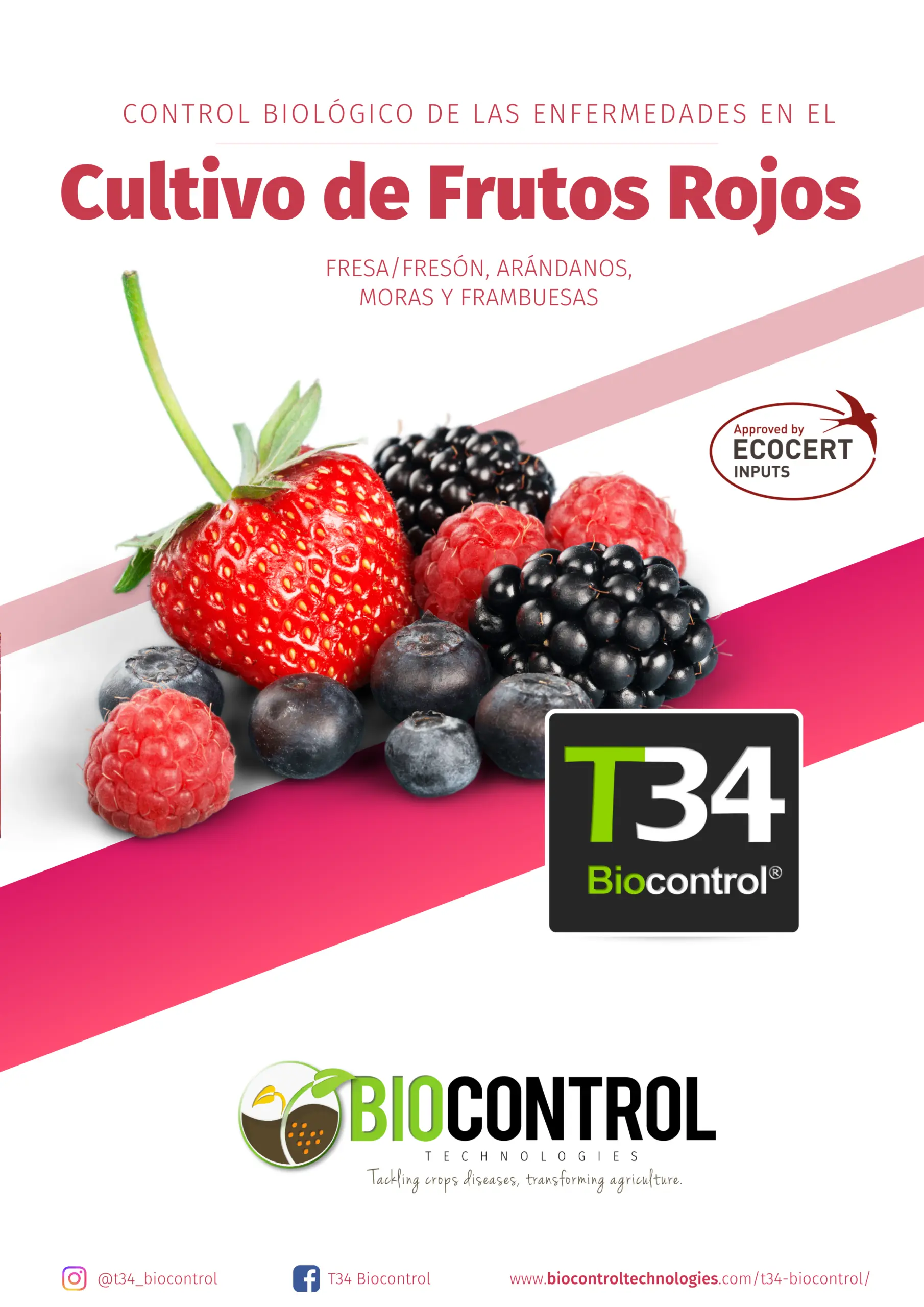 Portada del dosier técnico de frutos rojos de T34 Biocontrol®