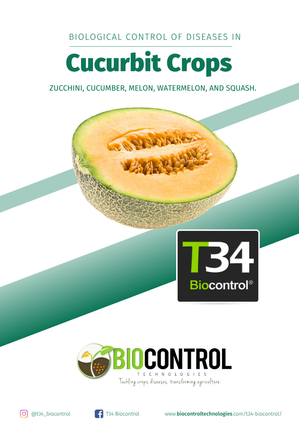 Cucurbit Crops Technical Dossier
