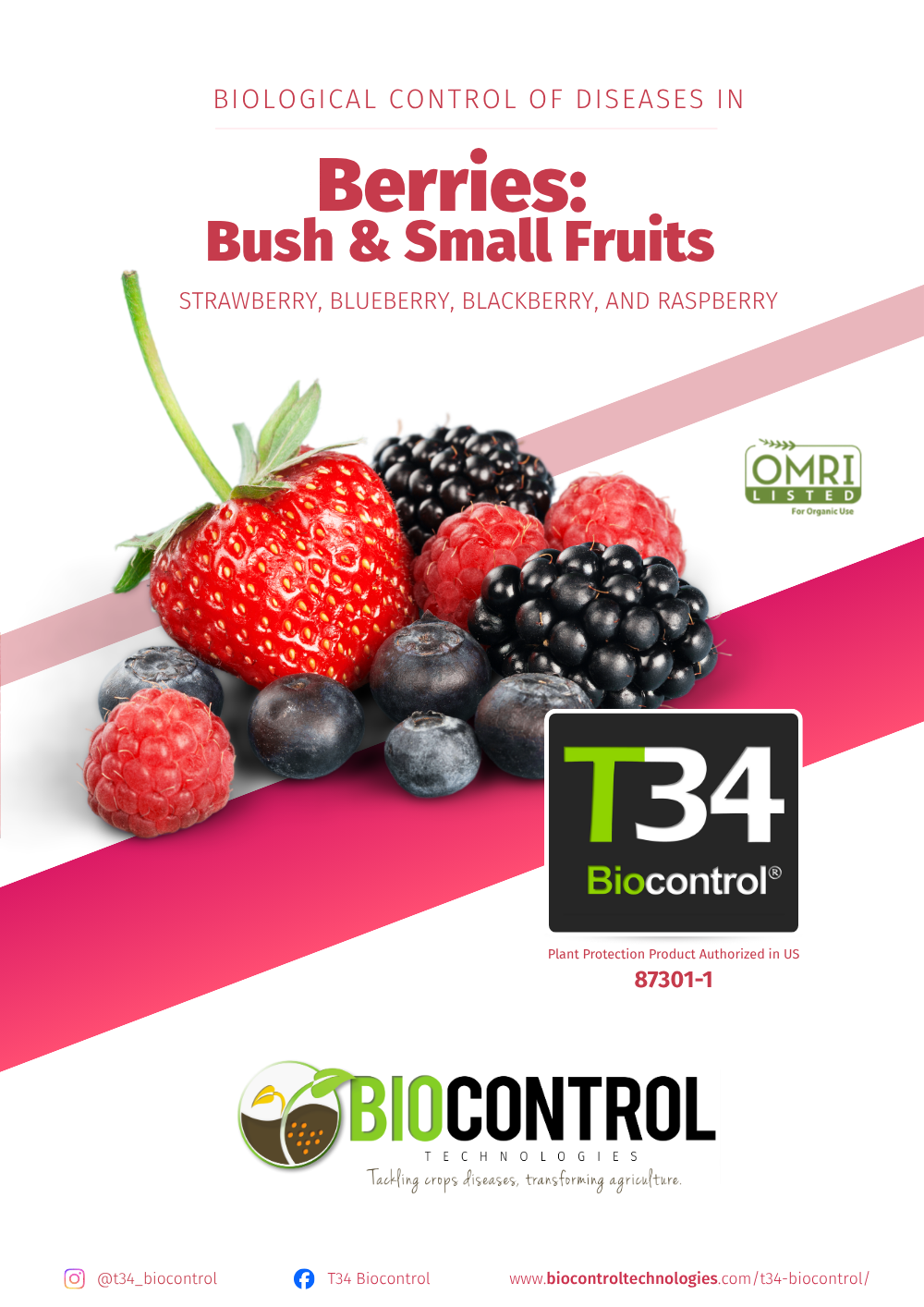 Technical dossier on strawberries and berries