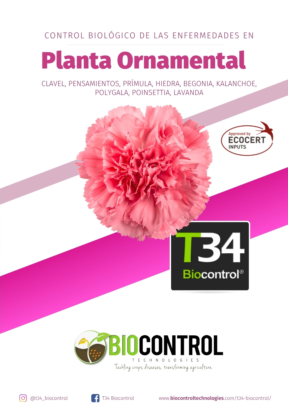 Dosier técnico de plantas ornamentales