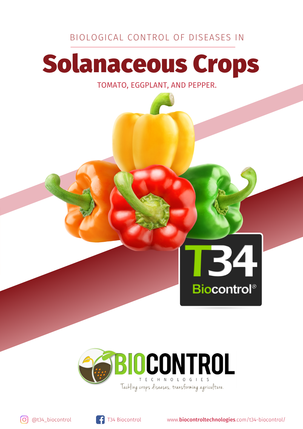 Solanaceous Crops Technical Dossier (this page's dossier)