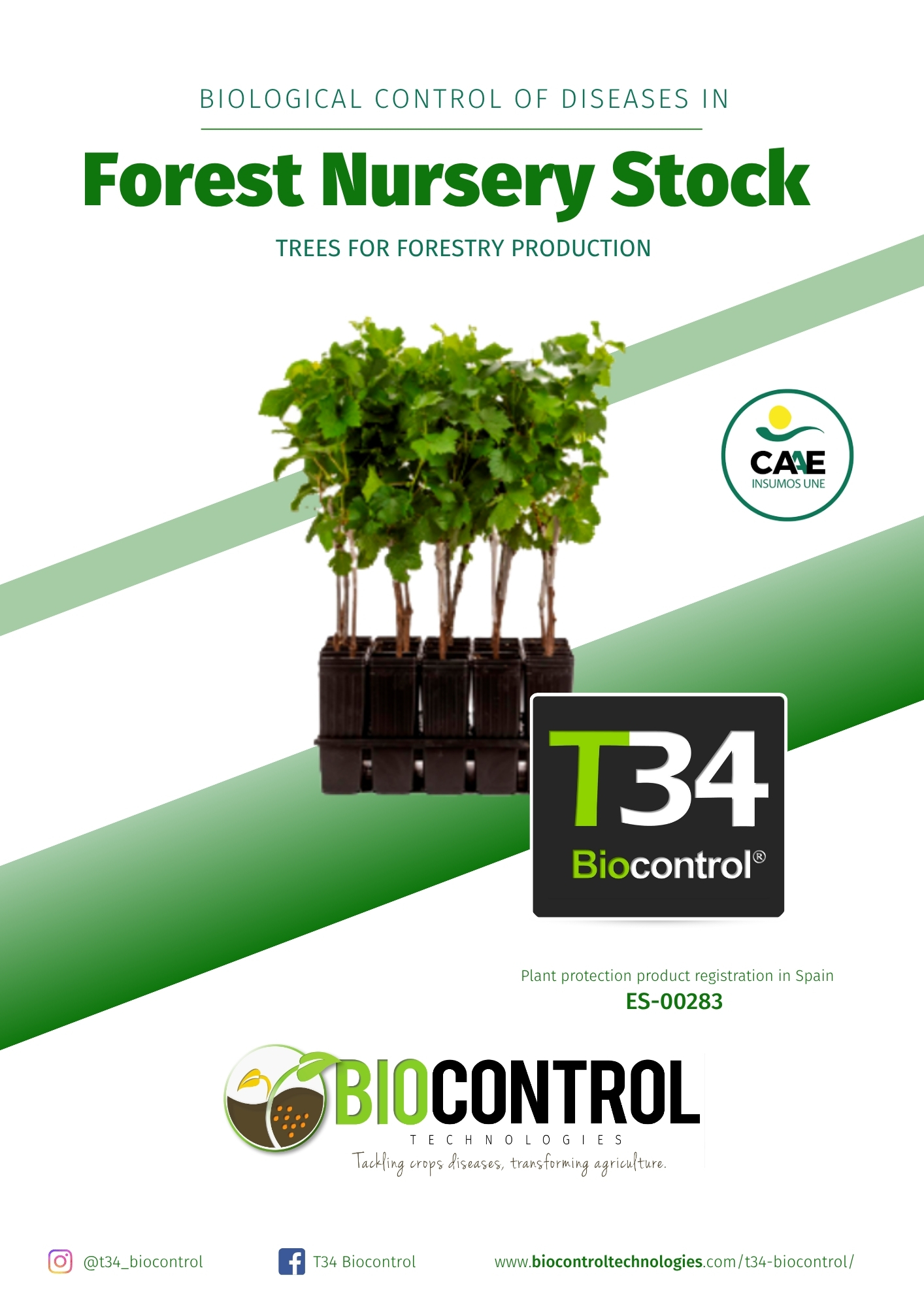 Forest Nursery Stock Technical Dossier