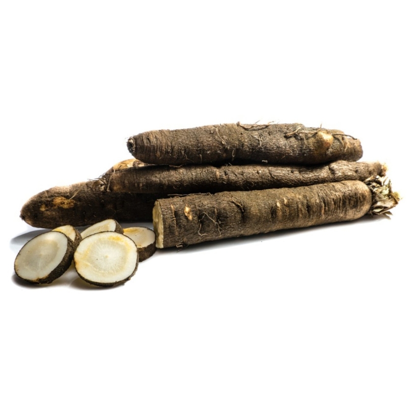 Black salsify — Scorzonera hispanica