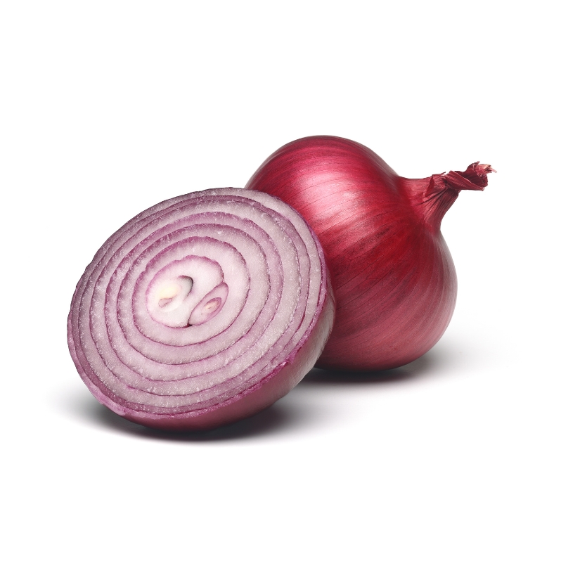 Onion — Allium cepa
