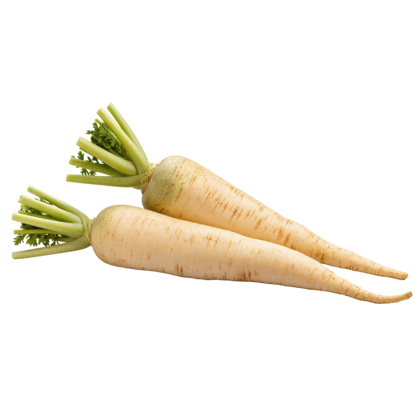 Parsnip — Pastinaca sativa