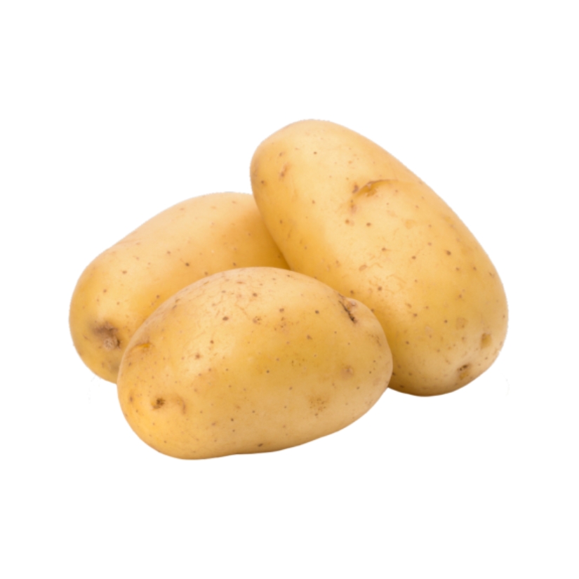 Potato — Solanum tuberosum