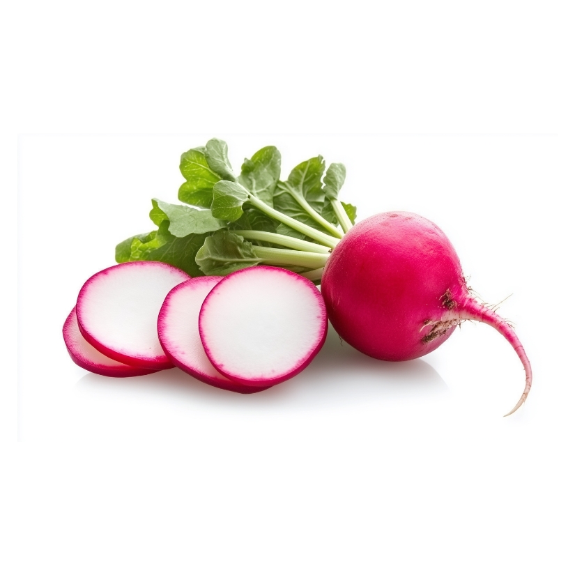 Radish — Raphanus sativus