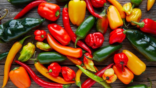 Enfermedades controladas por T34 Biocontrol para chiles. Pythium spp. Phytophtora spp.